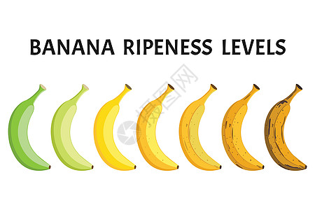 在白色背景上分离的香蕉成熟度水平向量集图片