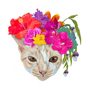 姜猫头戴小屋 花朵多彩 隔绝在WH宇宙木槿花束宠物紫色植物群小猫植物玫瑰插图图片