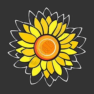 向日葵花图 您设计的自然背景叶子艺术插图植物学植物太阳雄蕊圆圈橙子农业设计图片