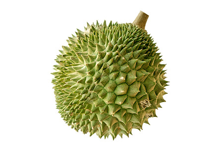马来西亚著名的杜兰果实木桑金热带情调异国食物甜点榴莲香味美食营养国王图片