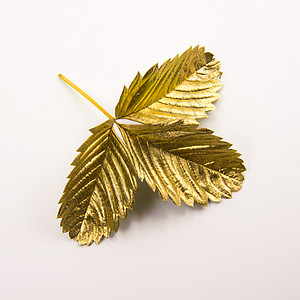 白色背景上的金箔工匠黄铜古董精神桂冠传统装饰配饰叶子金属图片