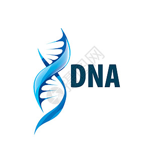 以螺旋 DNA 的形状签名 矢量图基因组基因实验室技术插图染色体标识生物学健康代码图片