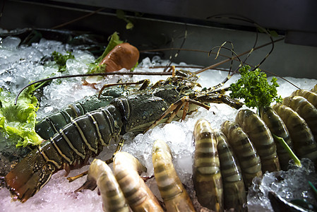 新鲜虾和龙虾躺在冰上图片