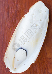 鱼骨头白色海洋生物食物椭圆形居住骨骼空腔图片