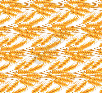 小麦无缝模式 小穗重复纹理无尽的背景 它制作图案矢量粮食耳朵纺织品插图农业食物织物玉米小麦面包图片