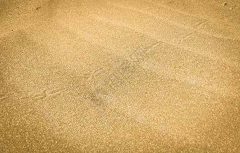 特写沙纸背景纹理花纹气候海洋水平沙丘旅行褐色波纹海岸涟漪图片