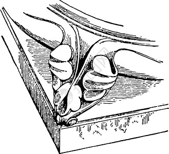 雕刻建筑学插图圆环绘画黑色艺术鞭策白色图片