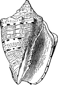 古代插图艺术音乐雕刻绘画浪潮黑色撤退白色图片