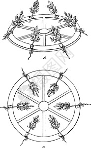 奈特实验古董插图图片