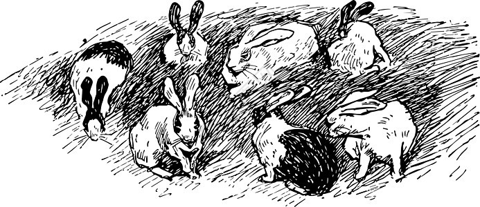 七只兔子 陈年插图背景图片