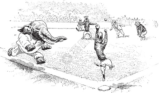 丛林城的棒球2号 旧式插图图片