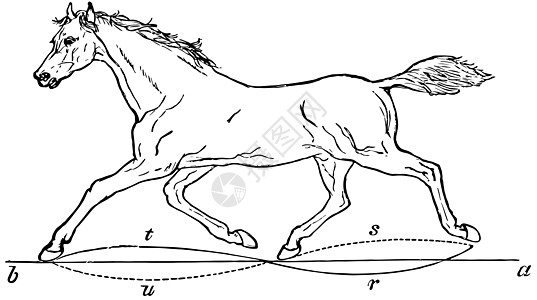 小跑马复古插图图片