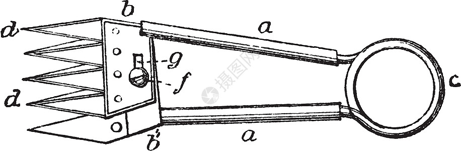 多发的羊皮剪刀 古董插图图片
