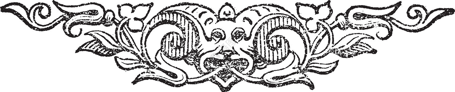 野兽尾饰是装饰性设计 古代雕刻背景图片