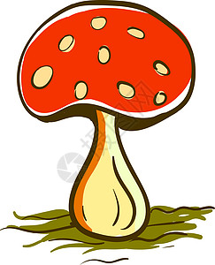 食用蘑菇 病媒或彩色插图图片