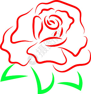 红玫瑰白色装饰品庆典植物学红色叶子植物玫瑰绘画涂鸦背景图片