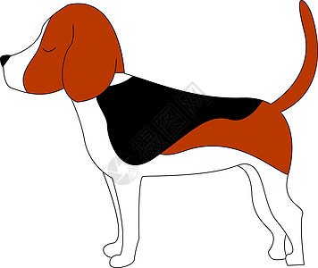 白色背景小狗尾巴棕色猎犬动物卡通片插图哺乳动物收藏图片