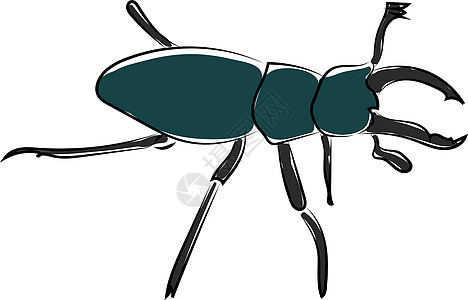 白色背景上的甲虫雕刻昆虫学黑色艺术收藏昆虫动物生物学草图漏洞图片