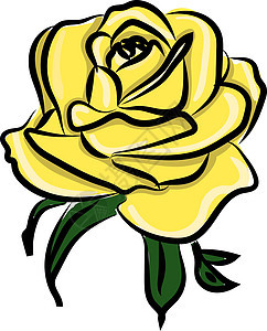 黄玫瑰 插图 白背景矢量图片