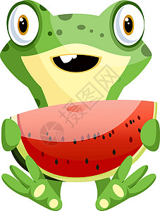 抱着西瓜 插图 随心所欲的矢量的可爱小青蛙图片