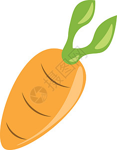 胡萝卜是一种健康的蔬菜矢量或彩色插图图片
