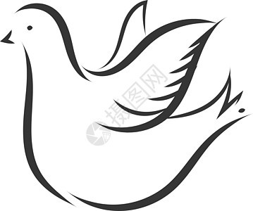 白色背面白鸽矢量插图的简单草图背景图片