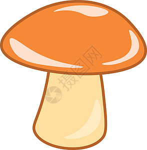 蘑菇矢量或彩色插图养分树木食物雨后春笋绘画图片