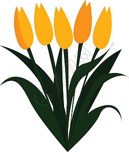 白色背景上春季打印矢量中的黄色郁金香花图片