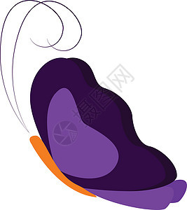 美丽的紫蝴蝶矢量或彩色插图背景图片
