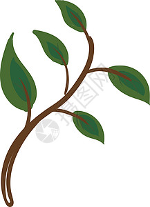 树干矢量或颜色插图上的绿色叶子图片图片