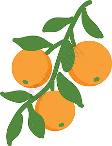 白色背景上的橙色插图矢量图片