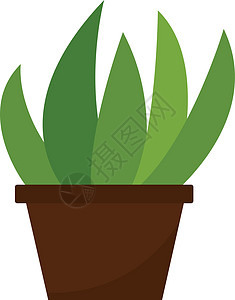 在棕色盆栽矢量或颜色 il 中生长的家庭植物的剪贴画图片