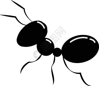 忙碌的黑蚂蚁矢量或彩色图案图片