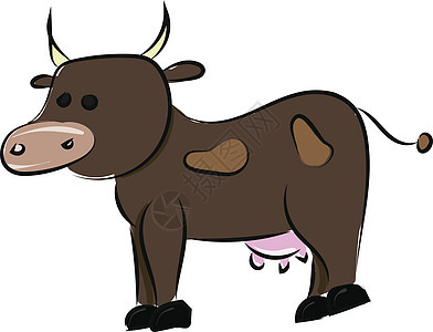 Cowvector 或彩色插图的图像图片