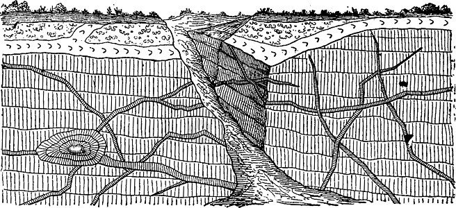 通过分层岩石 古老的青金刚石 喷发的静脉插图高清图片素材