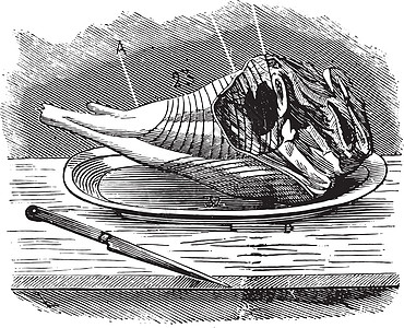 卤猪脚Gigot 古董雕刻解剖插图历史蚀刻历史性工具艺术食物桌子盘子插画