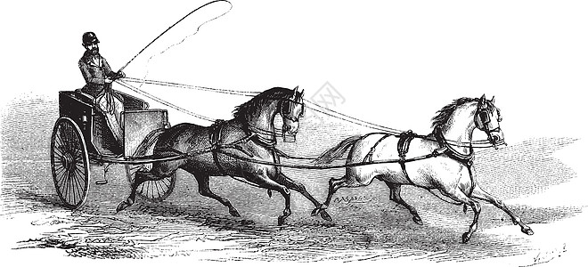 由 2 匹马绘制的 2 轮手推车 采用图片