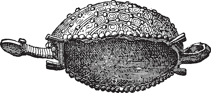 小金龟复古雕刻宝石艺术品蚀刻黑色动物绘画白色古董插图金子图片