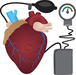 血压测量检查压力医学药品高血压专家病人仪表医师心脏图片