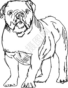 白色背景上的狗宠物动物涂鸦绘画黑色犬类艺术快乐草图艺术品图片