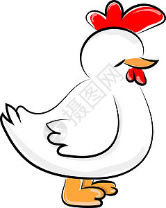 白色背景上的白色农业小鸡艺术家畜绘画公鸡动物卡通片黑色母鸡图片