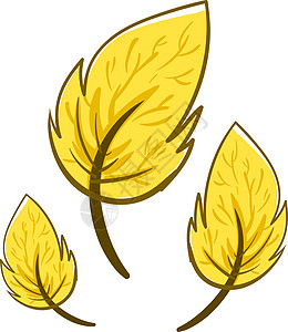 白色背景上的黄叶插画矢量绿色植物群叶子红色棕色艺术树叶框架卡片季节性图片