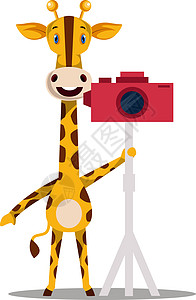 带相机 插图和白色背景的矢量的长颈鹿背景图片