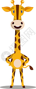 Giraffe 站立 插图 白背景的矢量背景图片