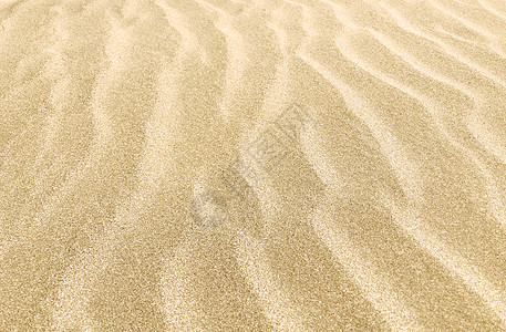 背景花纹特写沙纸背景纹理涟漪照片宏观旅行花纹支撑褐色颗粒状气候热带背景