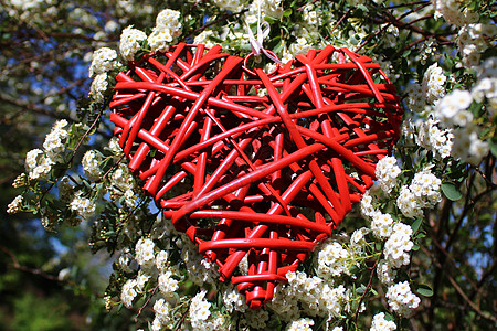 雪莓树丛中的红心红色艺术结婚卡花朵结婚爱的心鲜花婚礼母亲花园图片