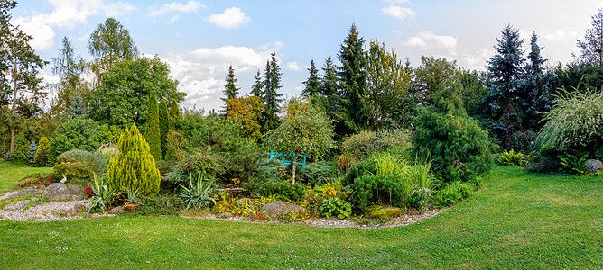 秋天在花园里 秋季概念性园艺院子季节植物晴天农业公园植物群边界环境阳光图片