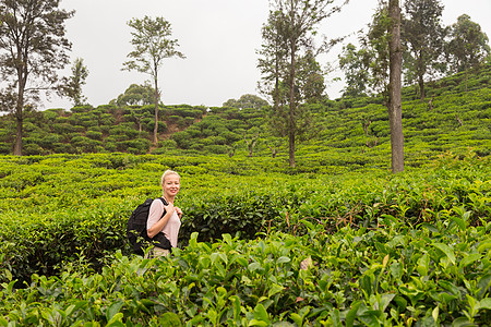 茶卡活跃的caucasian金发美女在斯里兰卡Ella附近追踪茶叶花岗岩时 将新鲜空气和纯净大自然紧紧连在一起环境背包冒险远足绿色植背景