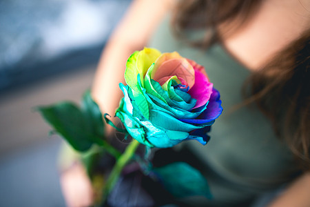 女人拿着彩虹玫瑰花 作为情人节的礼物 结业图片