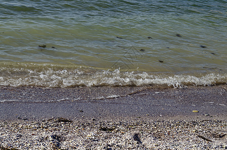 古代城市内塞巴或梅森布里亚附近的黑海沙滩海岸和海滩的波浪移动海景 被不同贝贝壳所覆盖图片